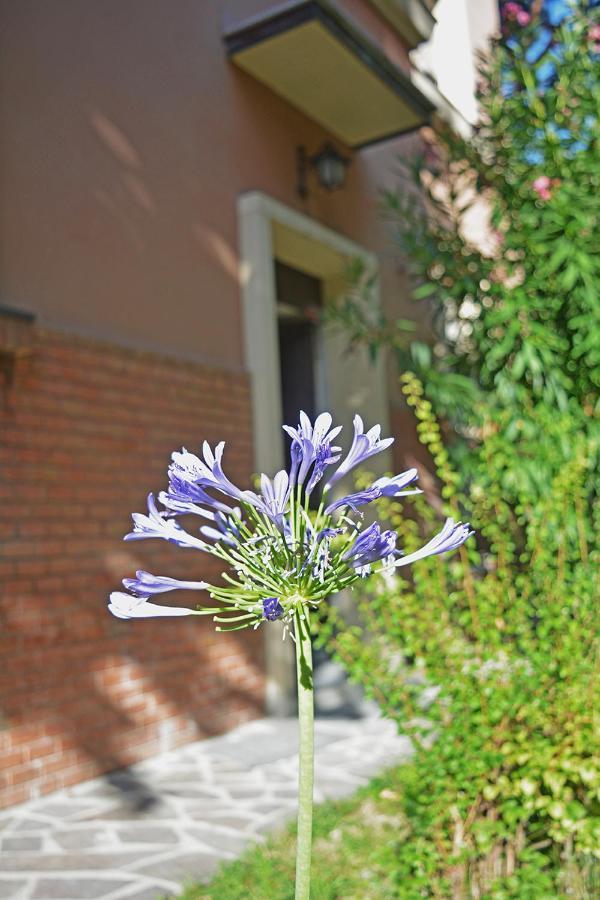Bondi900 - Tigli Apartman Bologna Kültér fotó